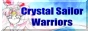 88x31 button: returnofcsw s cswbutton3