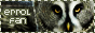 88x31 button: rnr errol