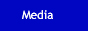 88x31 button: ryonan blueace media
