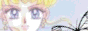 88x31 button: sailormooncentury butterfly