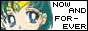 88x31 button: sailormoonfamily ami button