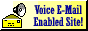 88x31 button: sassylilly geo First voice