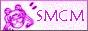 88x31 button: saylormoon Moon Link