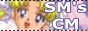 88x31 button: saylormoon b2