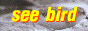 88x31 button: seebird th pic