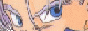 88x31 button: setsunadbz thsotbut