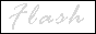 88x31 button: slamdunkshow flash