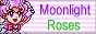 88x31 button: smoonie12 button1