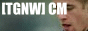 88x31 button: soccer wallpaper tgnw