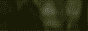 sof2 88x31