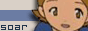 88x31 button: soracarina but soar