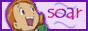 88x31 button: soracarina swlbutton02