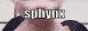 sphynx 2