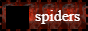 spiders 2