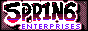 spring enterprises