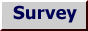 survey
