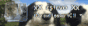 88x31 button: tevito