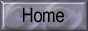88x31 button: texman1 homerose