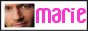88x31 button: the amazing marieni mebutton