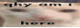 88x31 button: thebiggestwebsite