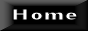 88x31 button: theladyinblack1 button2home