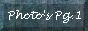 88x31 button: thelooniedogs spankyspg1but