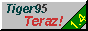 88x31 button: tiger95