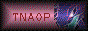 88x31 button: tnaop33 button126