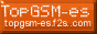 88x31 button: topgsm