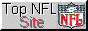 88x31 button: topnflsite2