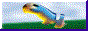 88x31 button: torpedologo
