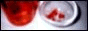 88x31 button: toshiya miyabi mucc 1