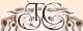 88x31 button: tovera chronicles