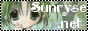 88x31 button: tpnguild linkme1