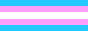 88x31 button: trans