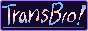 88x31 button: transbro