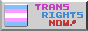 88x31 button: transnow2