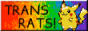 88x31 button: transrats