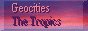 88x31 button: tropics4