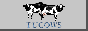 88x31 button: tucows