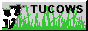 88x31 button: tucows1