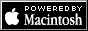 88x31 button: tumblr pti804k6a71xwjivko6 100
