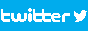 88x31 button: twitter