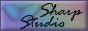 88x31 button: twobozos sharpstudio
