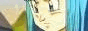88x31 button: vashtsgirl bulma2