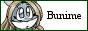 88x31 button: vashtsgirl bunkatbutton