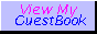 88x31 button: vguest