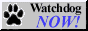 88x31 button: wdnow