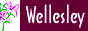 88x31 button: wellesley
