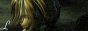 88x31 button: wendy bird 82 animCrow
